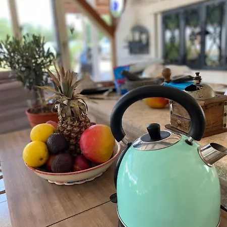 Zivahna With Pool ヴィラ Lovrečica